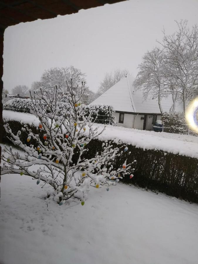 Ferienhaus Leja Beschendorf 外观 照片